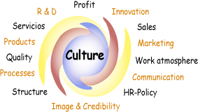 Organisational culture 