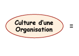 Culture d´une organisation