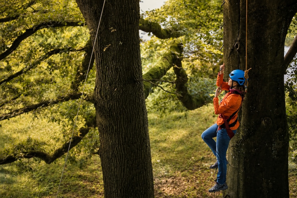 Participant climbing a tree with harness
