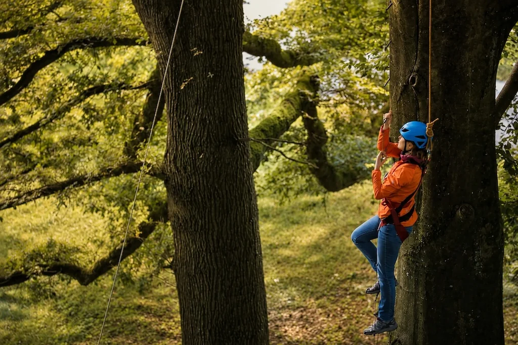 Participant climbing a tree with harness
