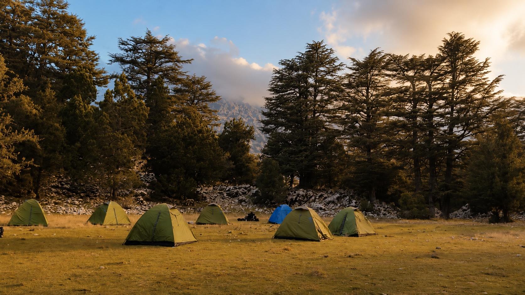 Tent camp in cedar forest