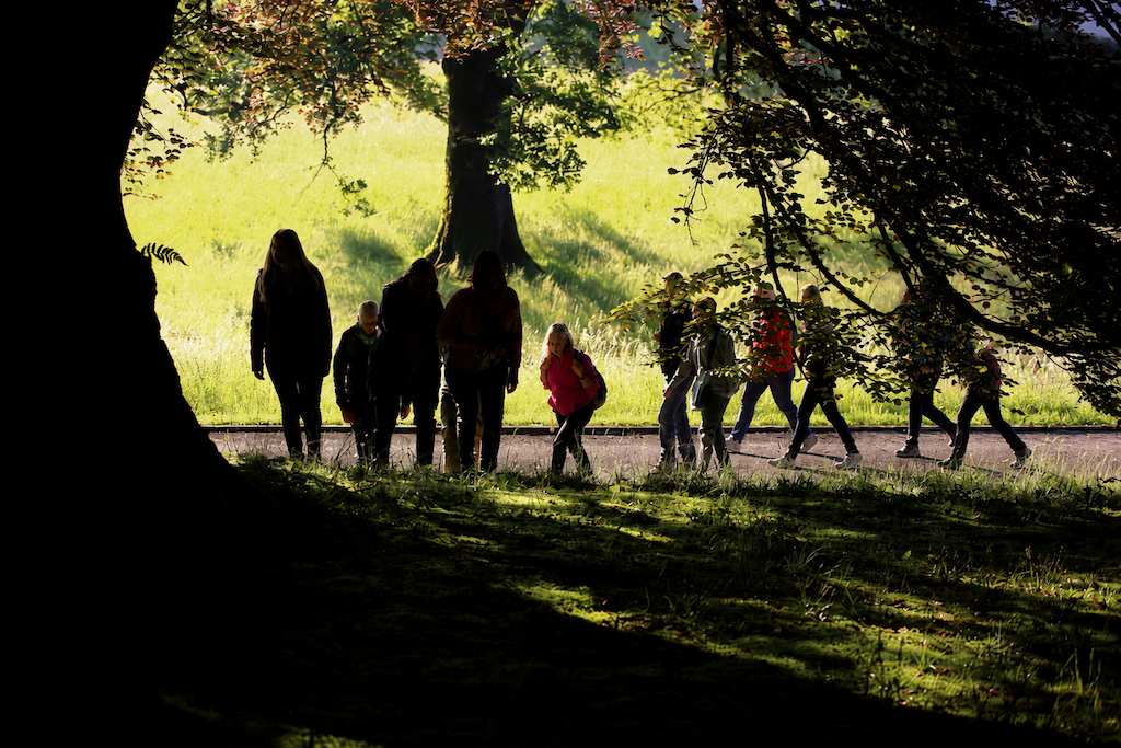 Team in nature — Altoren experiential learning