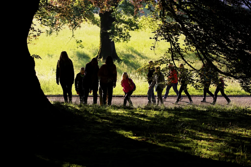 Team in nature — Altoren experiential learning